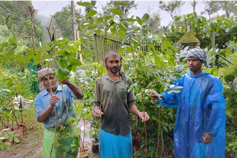 pekerja hutan pertama samithi dengan tanaman yang akan dibudidayakan