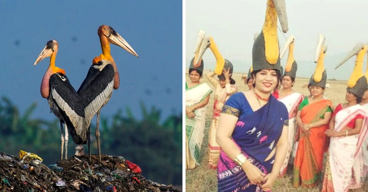 Woman Leads Army of 10000 to Save the Endangered Adjutant Stork From Extinction