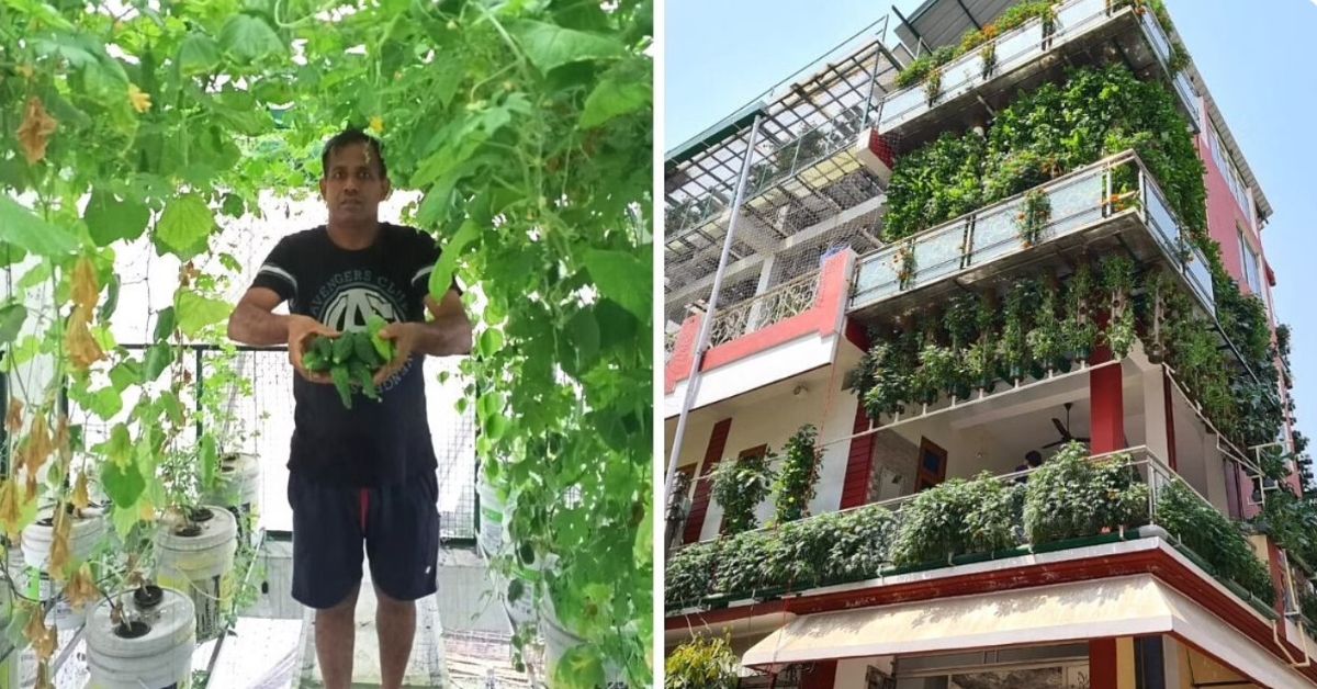 I Turned My 3-Storey Home into a Lush Hydroponics Farm That Earns Rs 70 Lakh/Year