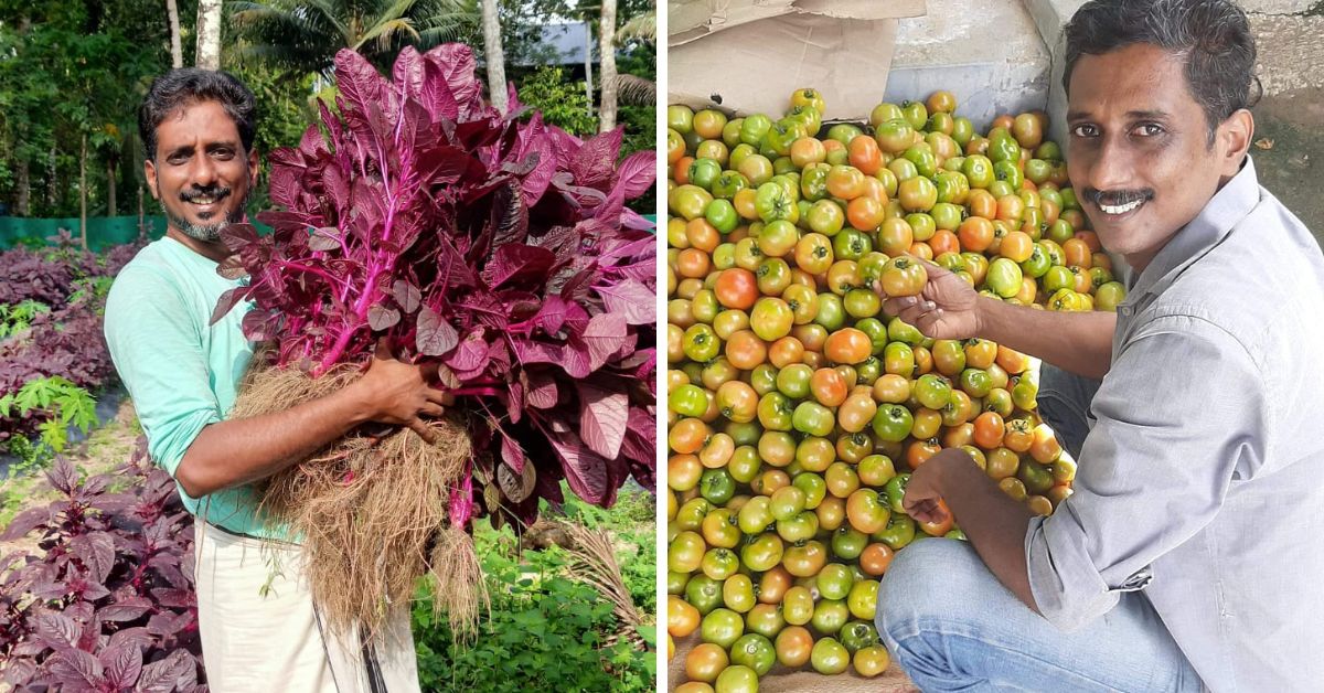 LLb Grad Grows & Supplies Organic Veggies to Kerala’s Supermarts, Earns Rs 40 Lakh/Yr