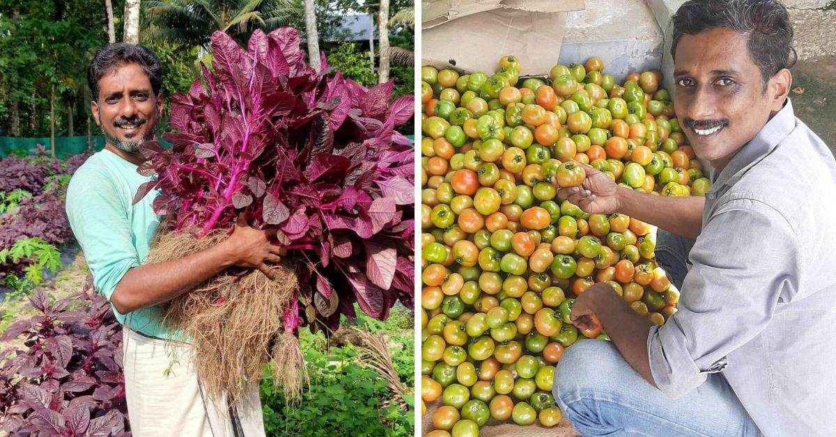 marari fresh vegetable farm kerala