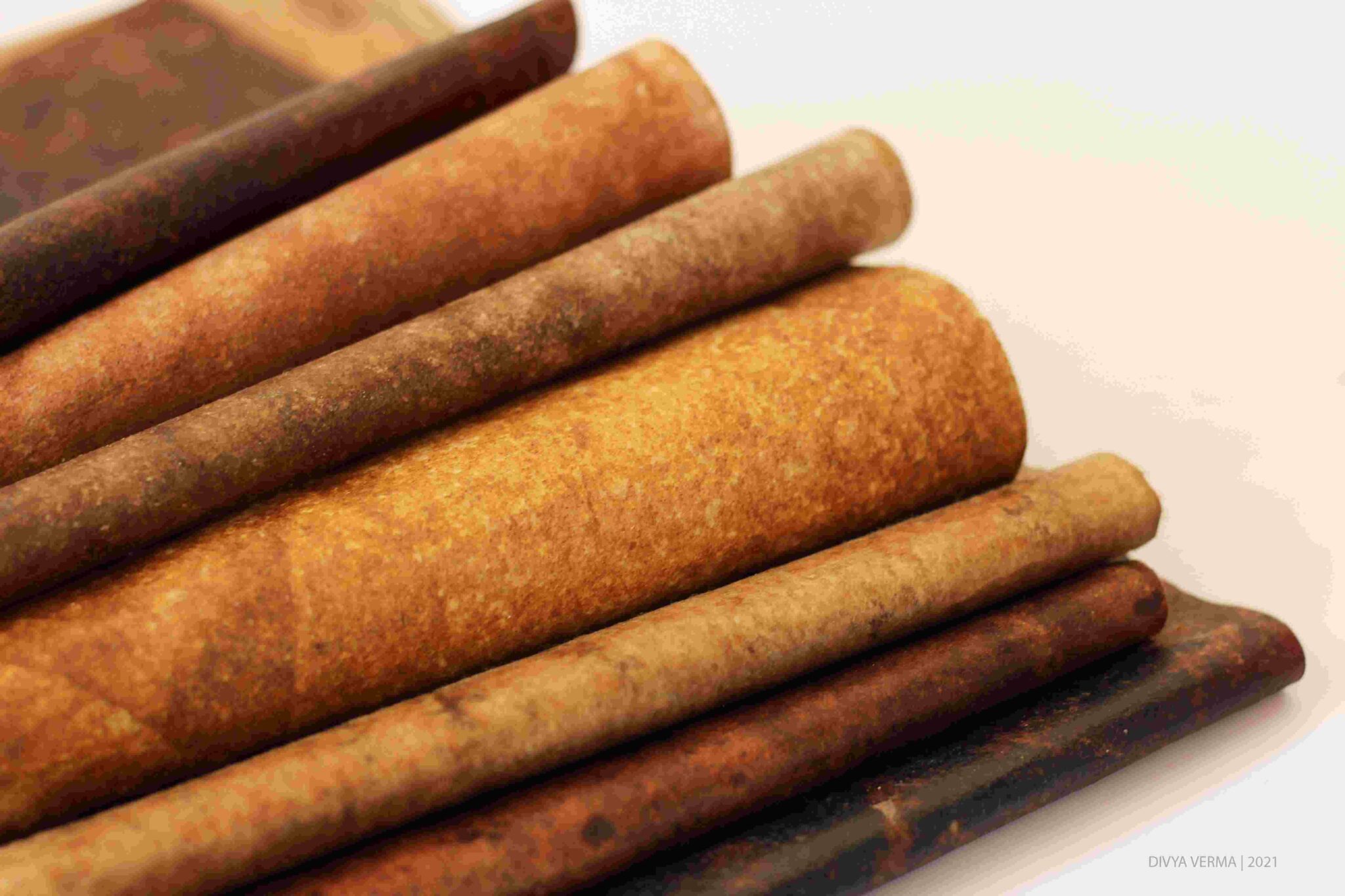 Wallets Made of Algae? Compostable ‘Leather’ Makes It Possible