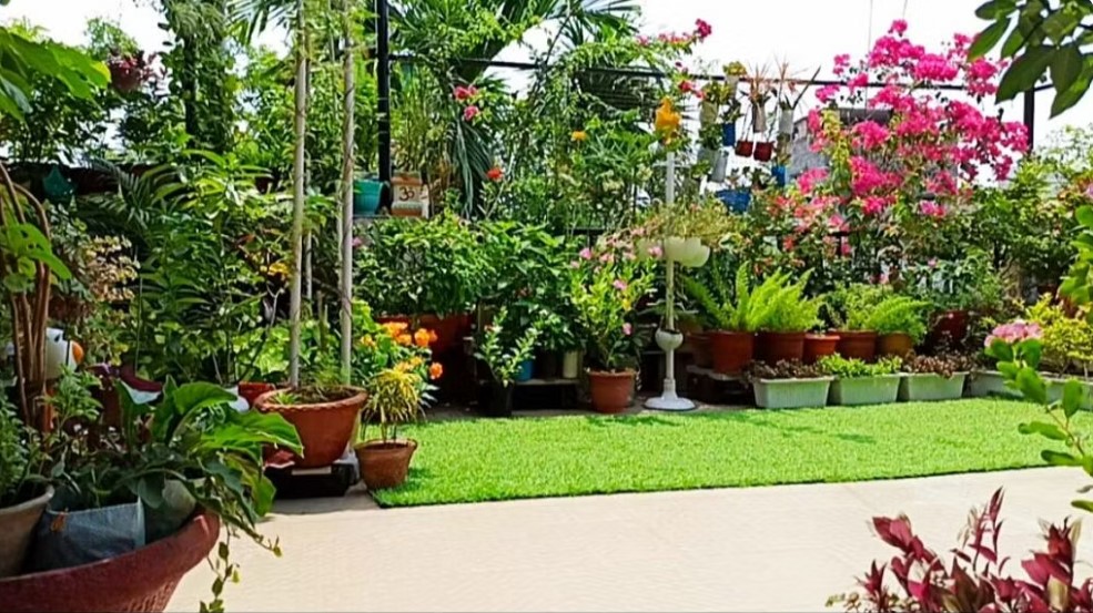 Lush garden of kolkata youtuber 