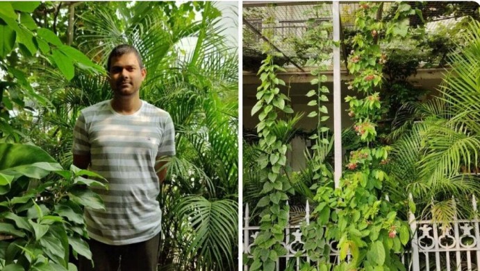 the mini jungle of akshay in noida filled with ornamental, flowering plants and fruit trees