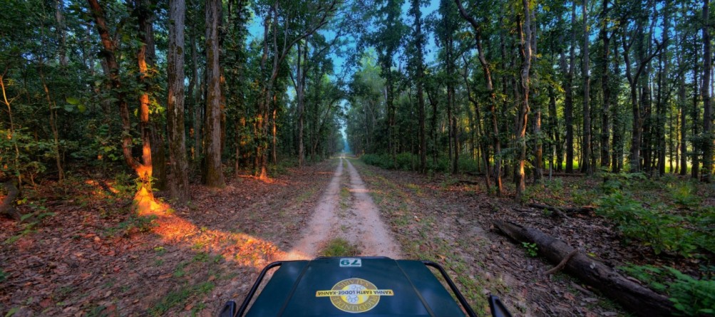 jeep safaris to the forest are provided in the lodges of pugdundee