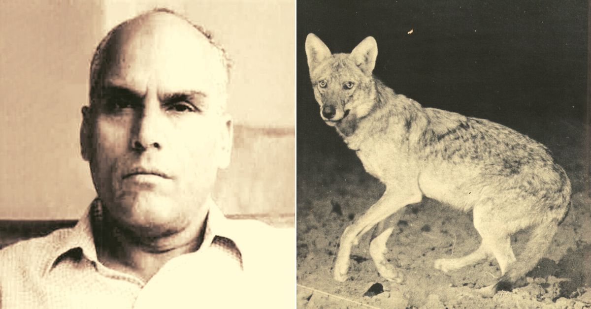 SP Shahi & the Indian grey wolf