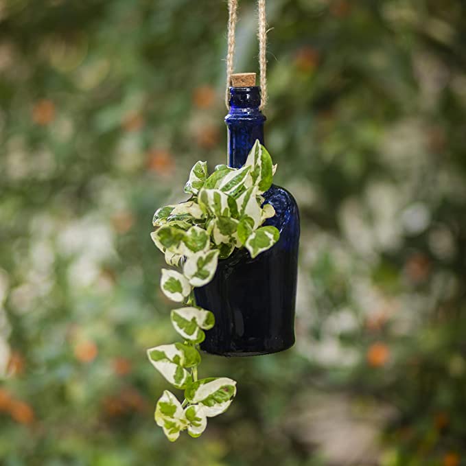 Upcycled planter made from a glass bottle.