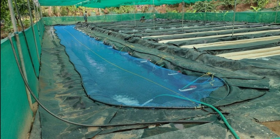 the upcoming project of vijayakumar narayanan of aquaponics farming in palakkad