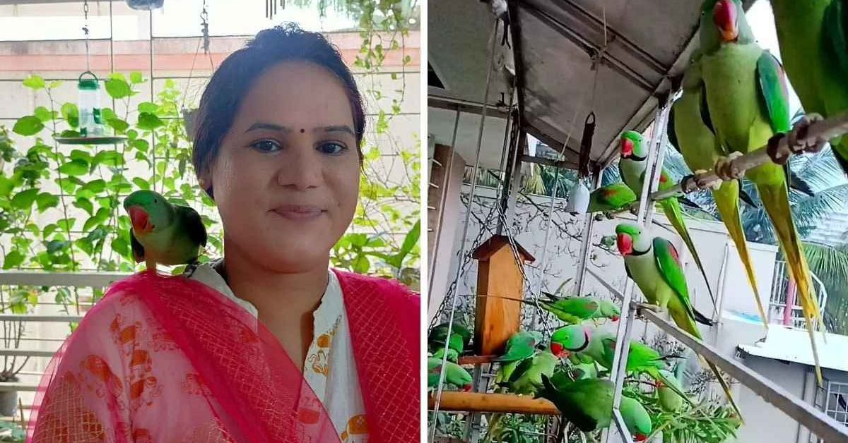bird feeder 1664610594 Amid Concrete Jungles, 100s of Birds Flock to This Pune Woman’s Balcony Daily