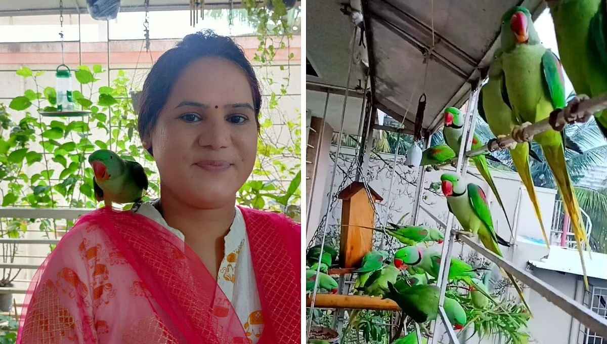 Smita Pasalkar in her balcony where she is visited by sparrows, parrots and sunbirds