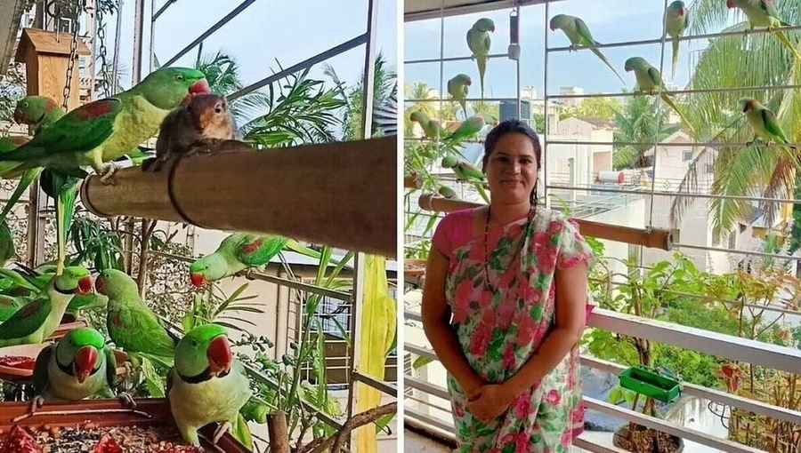 The bamboo bird feeders that Smita Pasalkar has built attract parrots and other birds