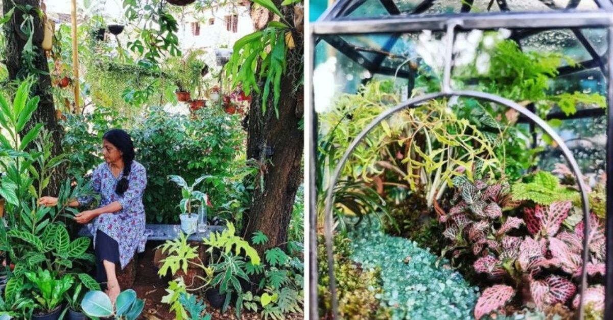 Growing 3000+ Plants On Terrace, Engineer Quit Job to Run Gardening Biz With His Mom