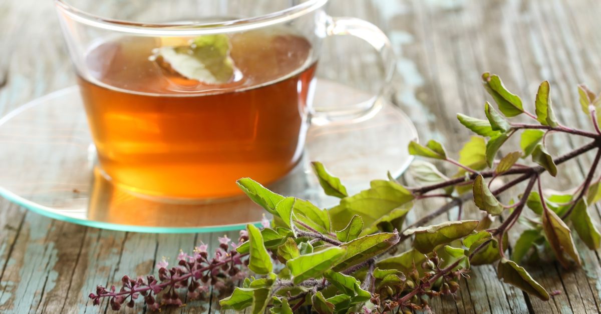 a cup of tulsi tea made with tulsi leaves 