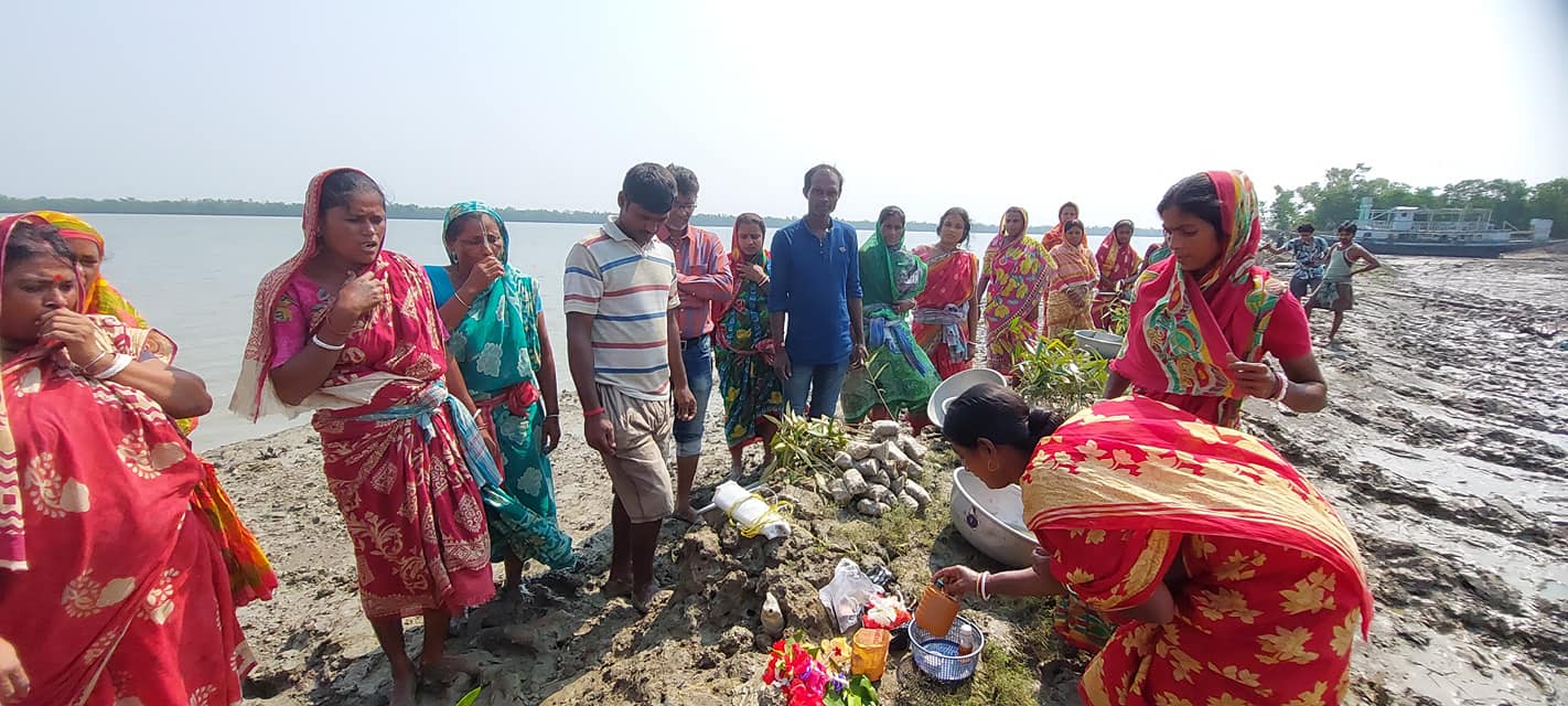 Women planting mangrove saplings that will grow into trees in the Sundarbans