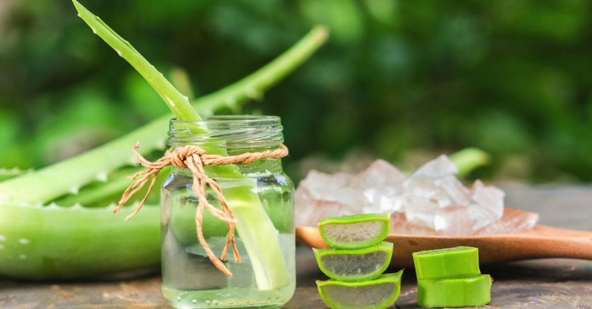 Aloe vera for clearance diabetes