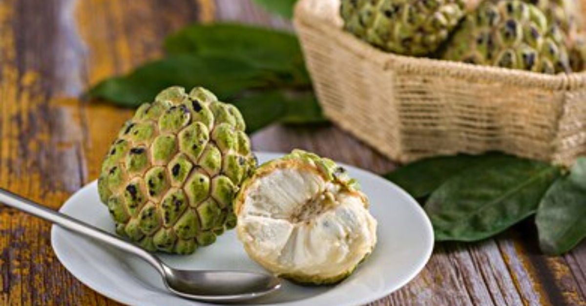 Science Behind Benefits of Having Custard Apples in Winters to Boost Immunity & More