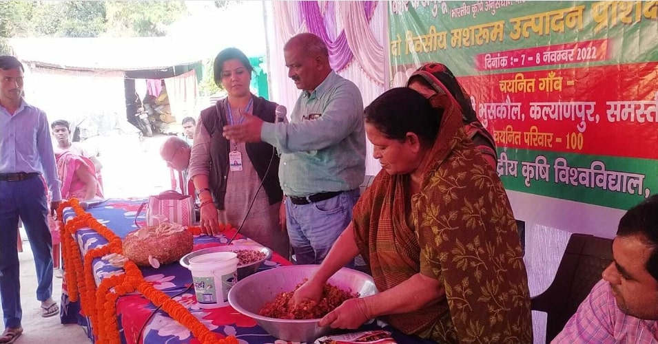 2 Lakh Farmers, 28000 Tonnes Produced: Professor Helps Spur Bihar’s Mushroom Revolution