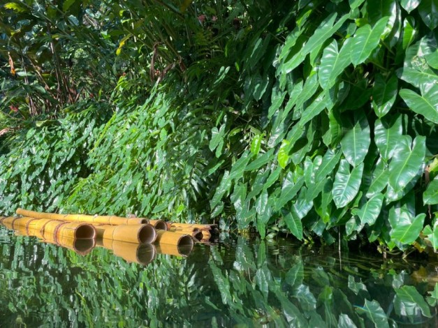 the pond inside green ara by musthafa