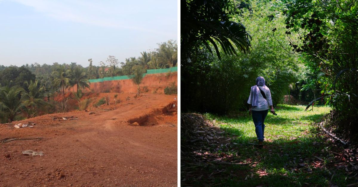 before and after land of green ara by musthafa