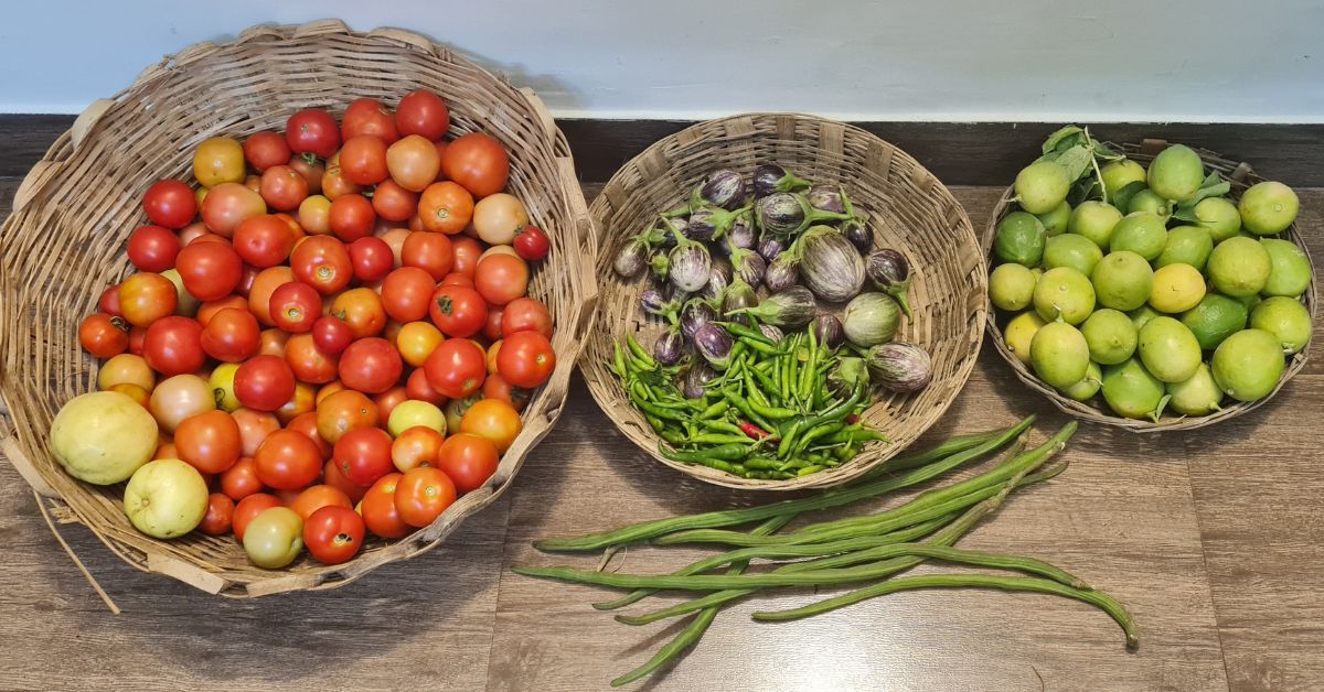 Harvest from Vrukshavanam