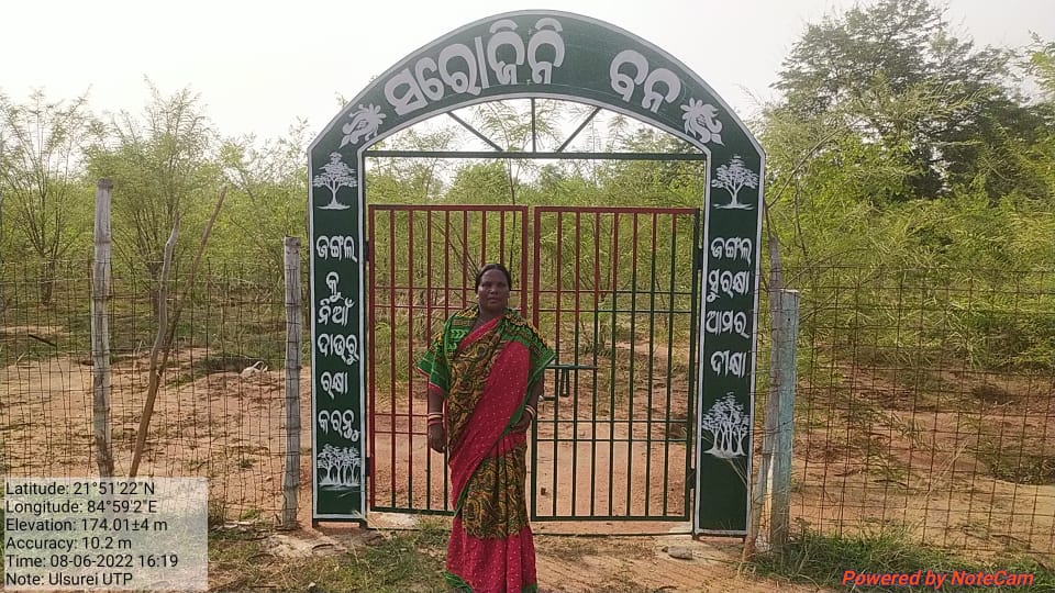 Sarojini Mohanta, a daily wager and forest watcher. 