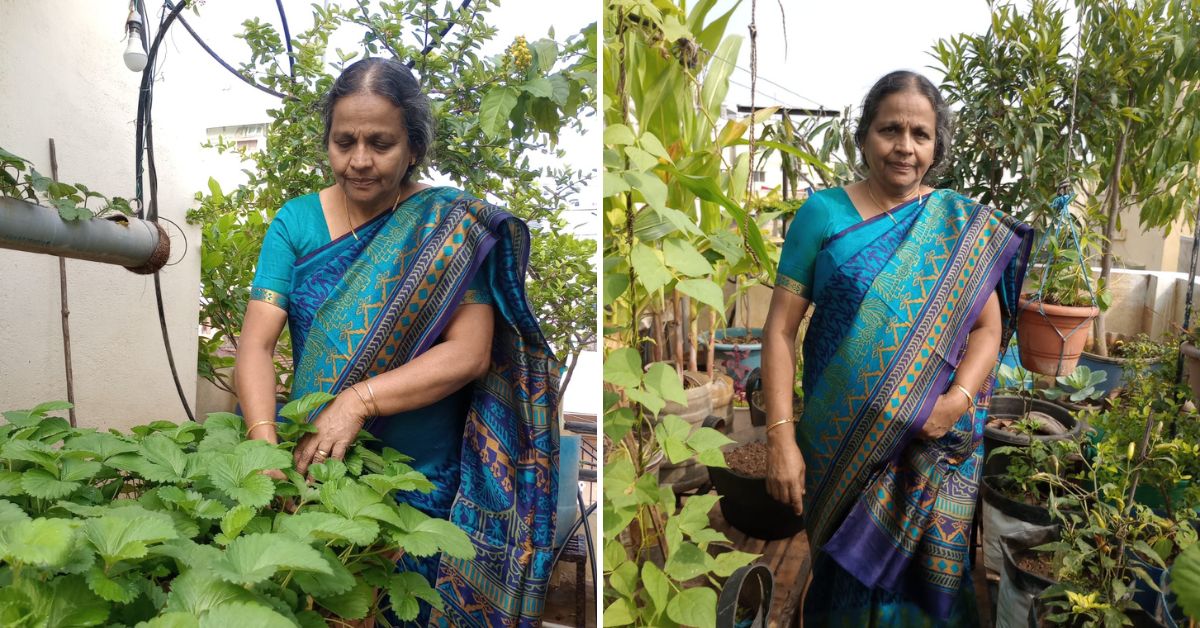 Lizy John at her terrace garden