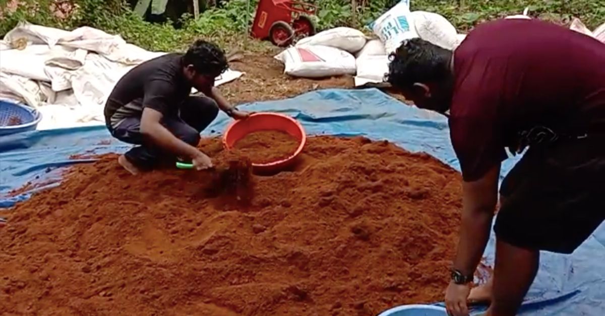 Potting mixture in the make