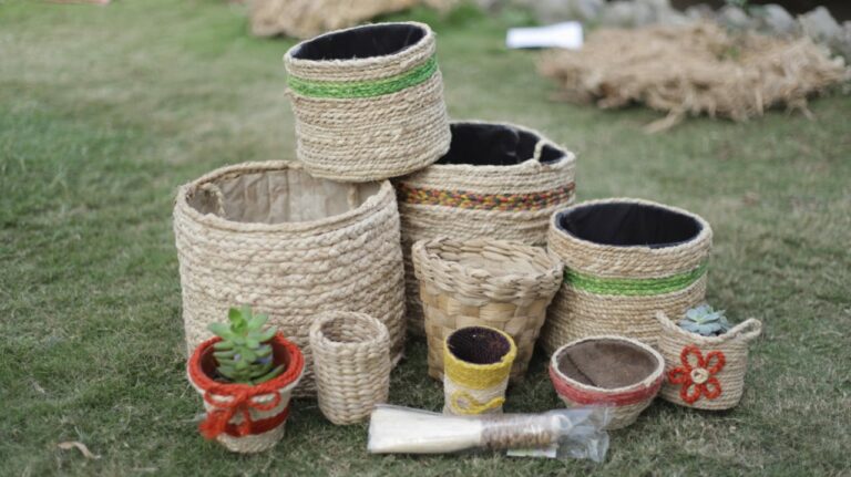 MBA Grad Turns Banana Waste into Eco-Friendly Crafts, Earns Lakhs