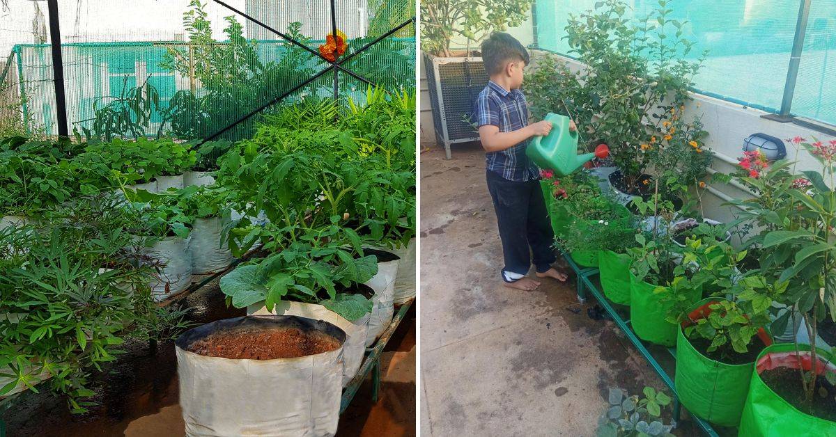 Pushpa's terrace garden at her house in Rajajinagar, Bengaluru