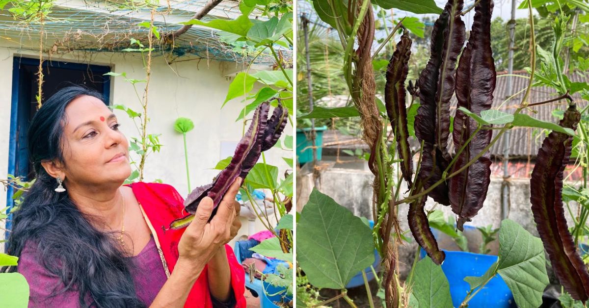 Rema Devi at her organic terrace garden.