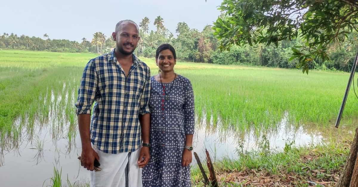 Kerala Couple Quits Jobs to Grow 7 Traditional Rice Varieties, Harvest 15 Tonnes/Year