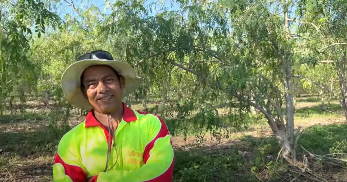 organic farmer sajan sasi