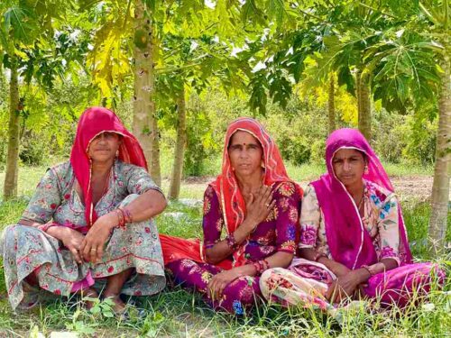 The group of women farmers from Jodhpur who tend to MharoKhet
