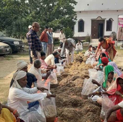 Mushroom cultivation training session underway