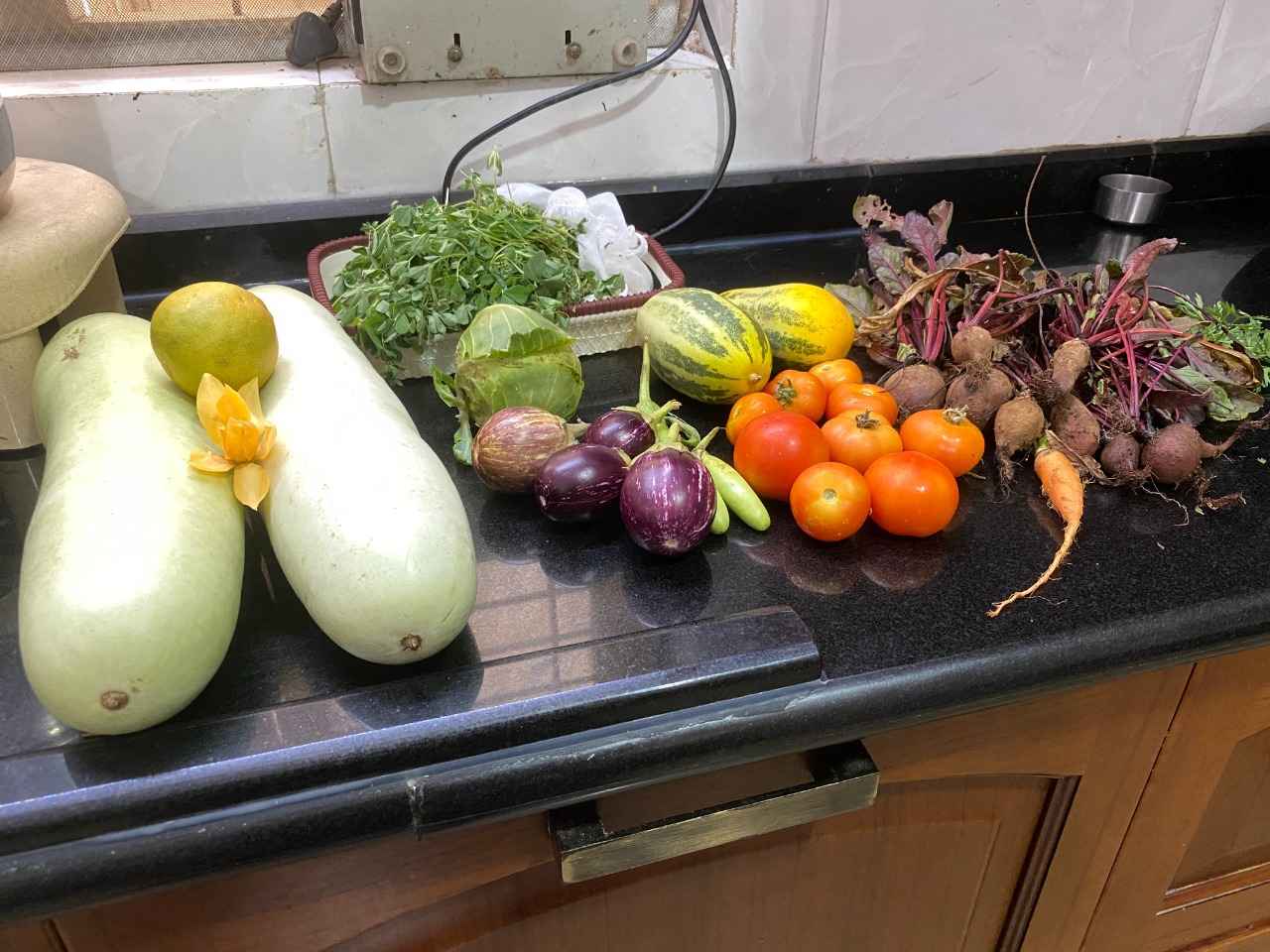 The produce from the vegetable gardens of one of the participants includes pumpkins, tomatoes, brinjals.