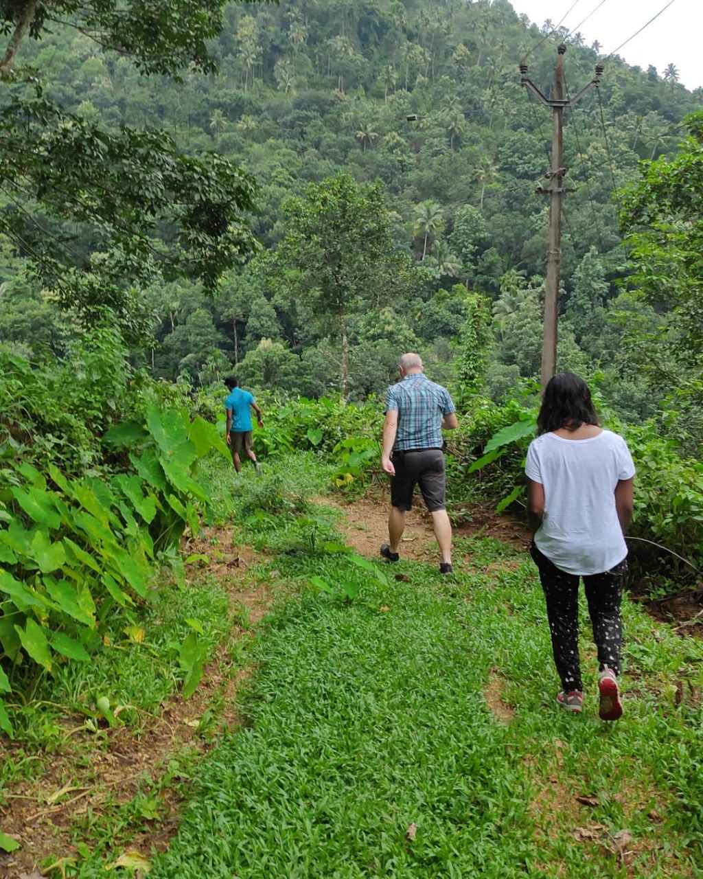 The spice trail at Vanilla County includes a walk through the plantations of pepper, cardamom, cloves and tea