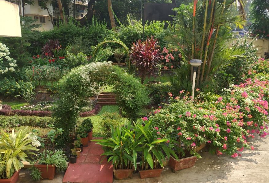 Garden at Shanti Avedna Sadan, Mumbai