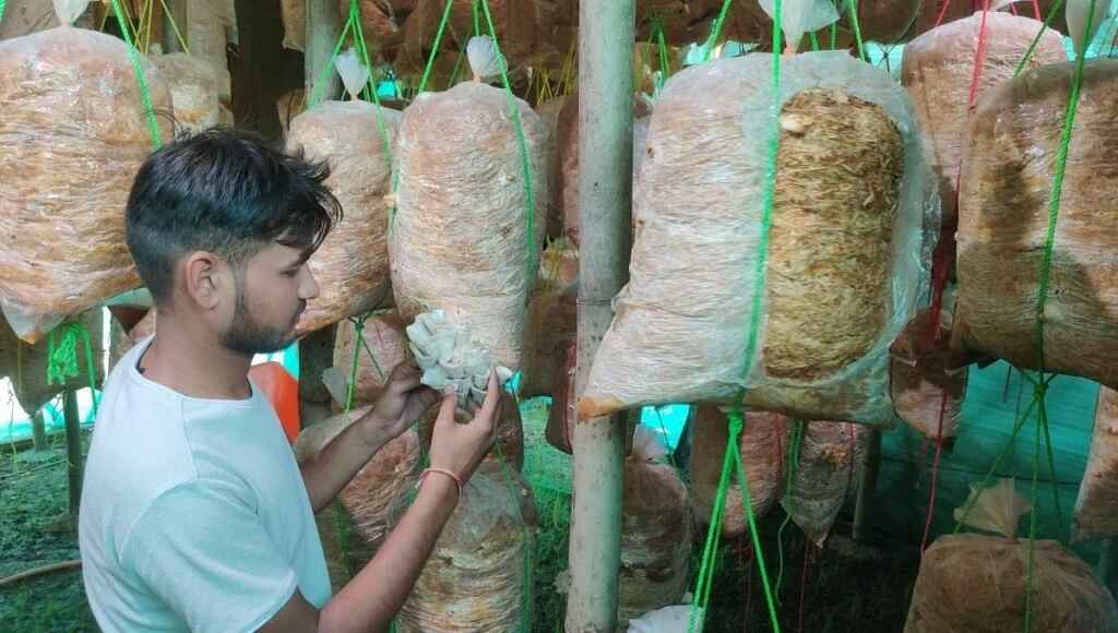 Yashraj Sahu is a successful mushroom farmer from Kota.