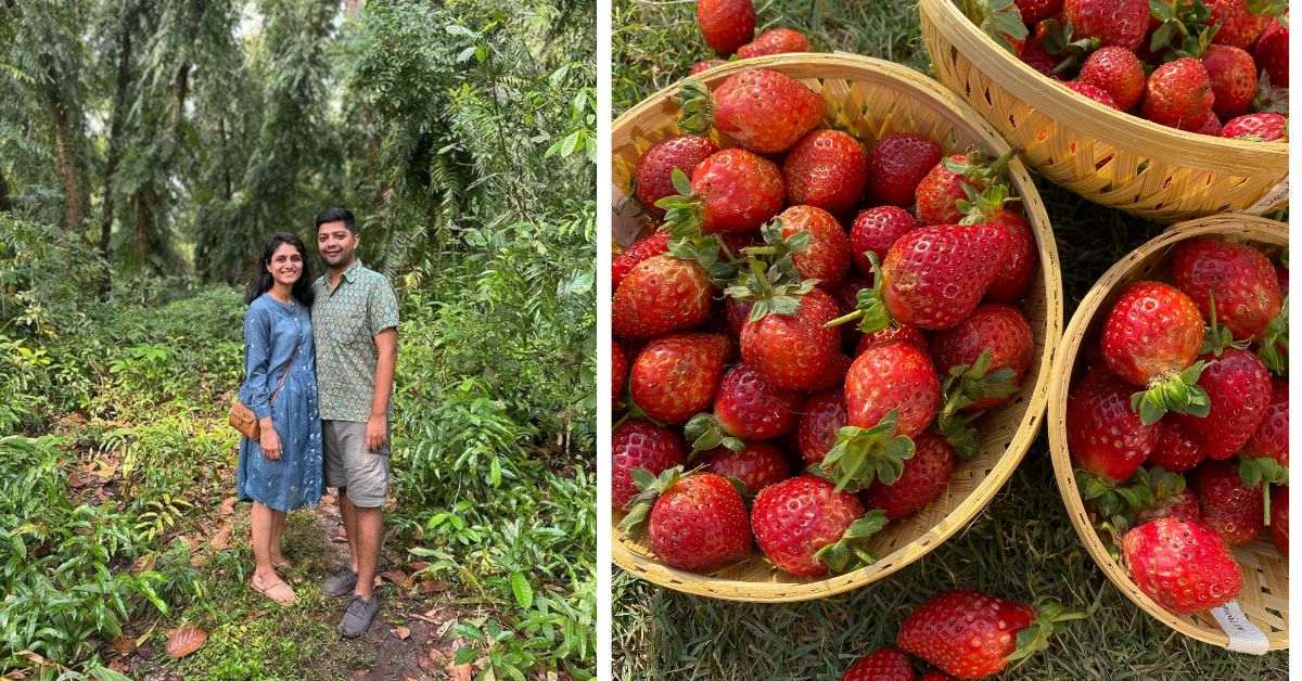 Couple Turns Empty Land to Hub of Exotic Veggies, Delivers Produce in 4 Hrs Post Harvest