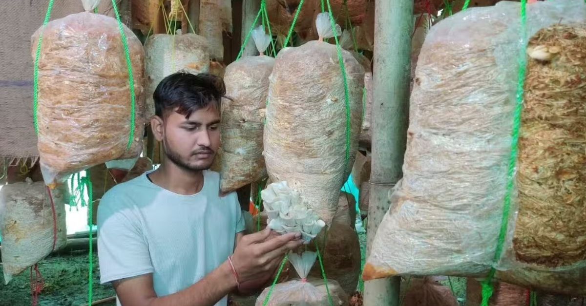 oyster mushroom farmer Yashraj Sahu