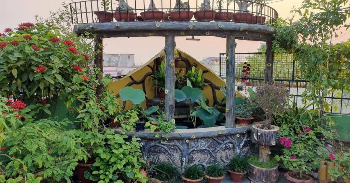 terrace garden by patna couple