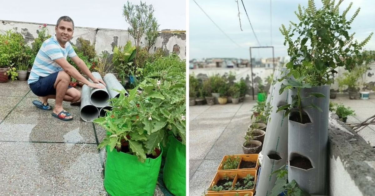 pvc pipe garden in up by engineering grad