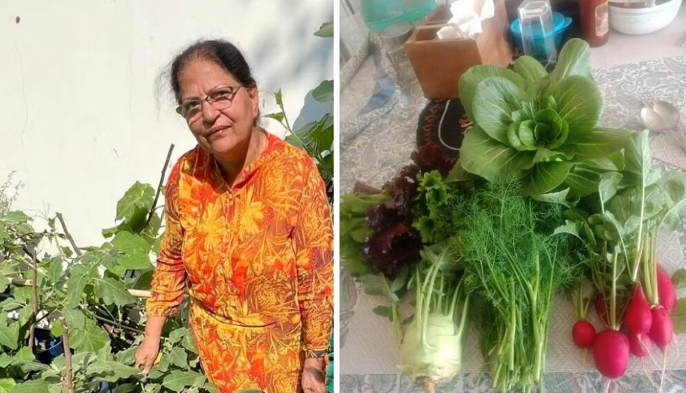 Shashi in her garden in Gurugram.