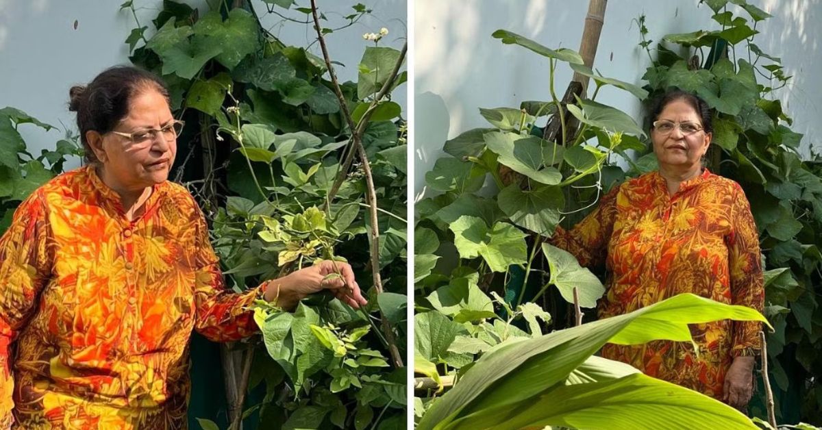 Homemaker Studies Gardening in Her 60s; Nurtures Lush Mini Farm With Organic Veggies