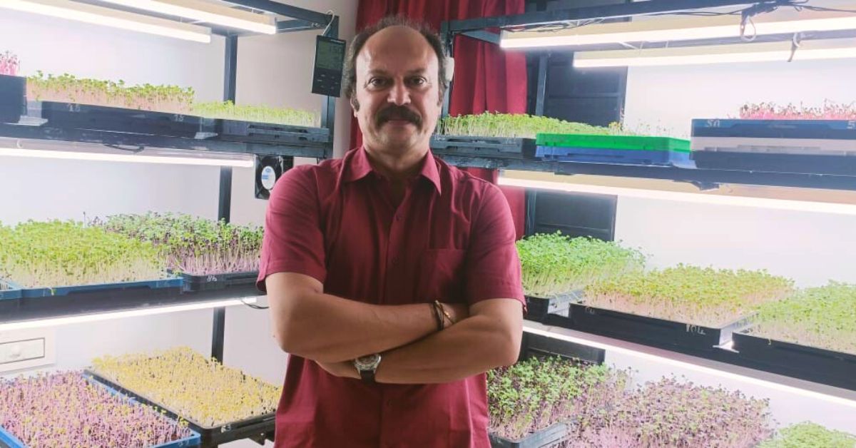 How I Grow Microgreens in My Room & Earn Rs 3 Lakh/Month: Kerala Man Shares Tips