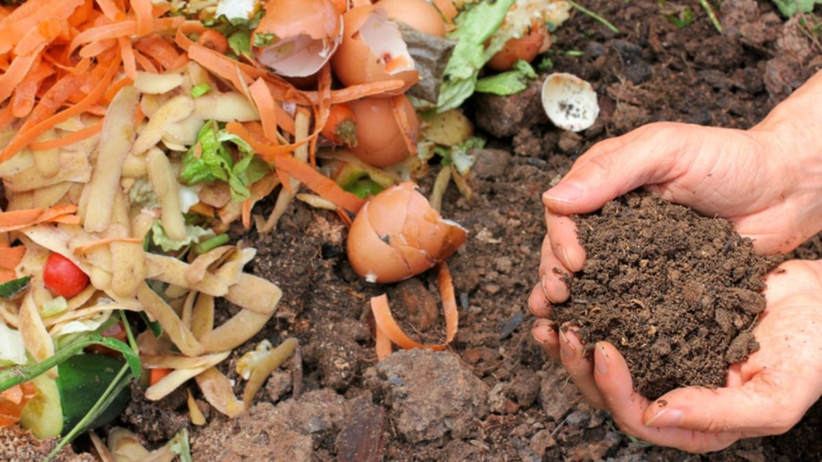 Make 5 Types of Compost From Peels, Tea Leaves, Kitchen Waste: Terrace Gardener’s Tips