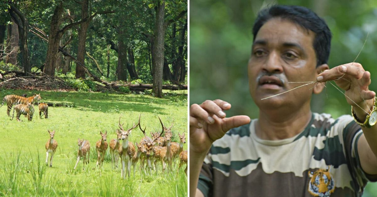 Dr Gajanan D Muratkar, the 'grass man of India'.