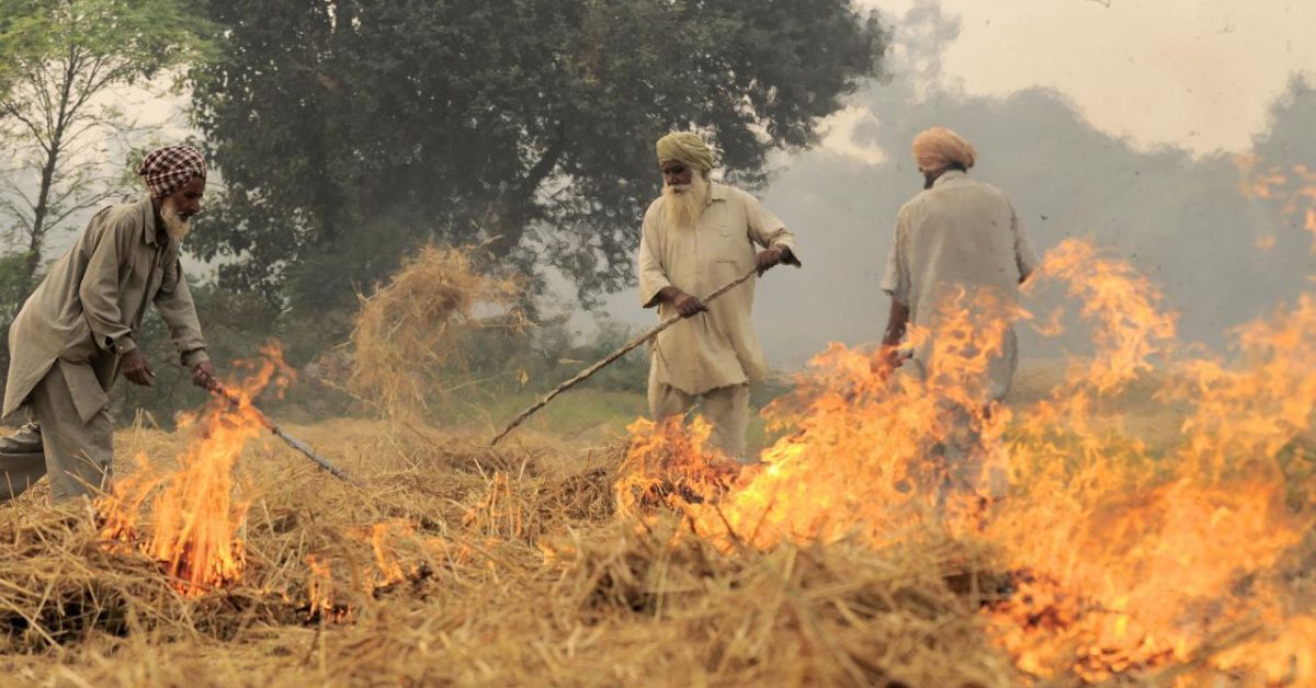 Petani membakar sisa tanaman padi di Punjab.