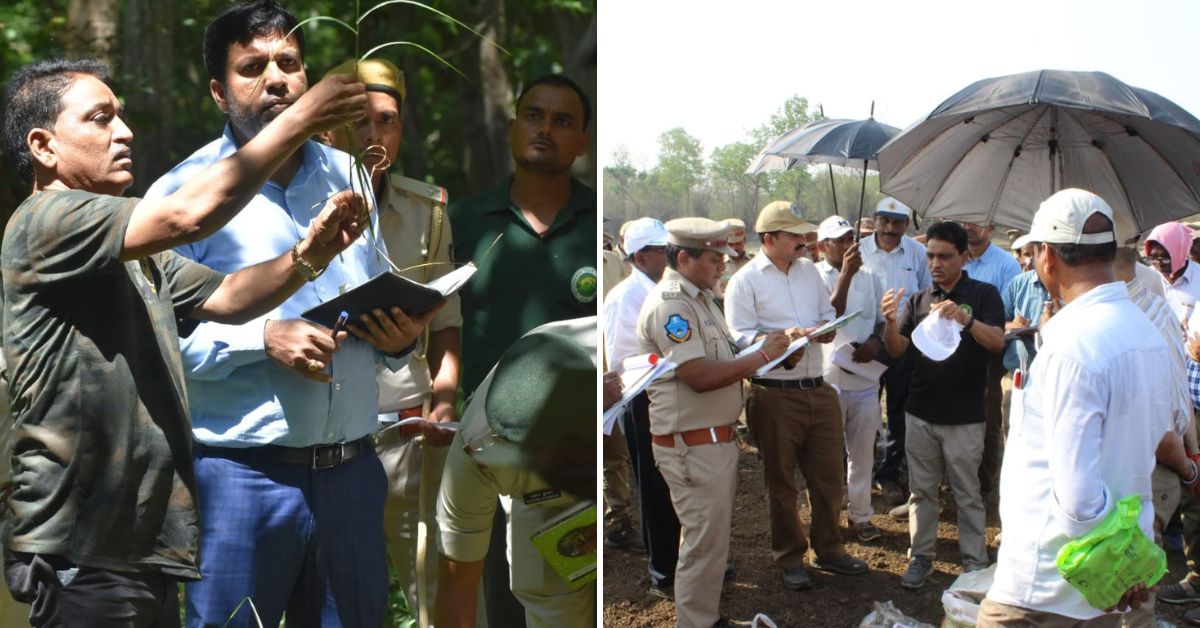 Dr Gajanan D Muratkar, popularly known as the ‘grass man of India’, in the field along with forest staff. 