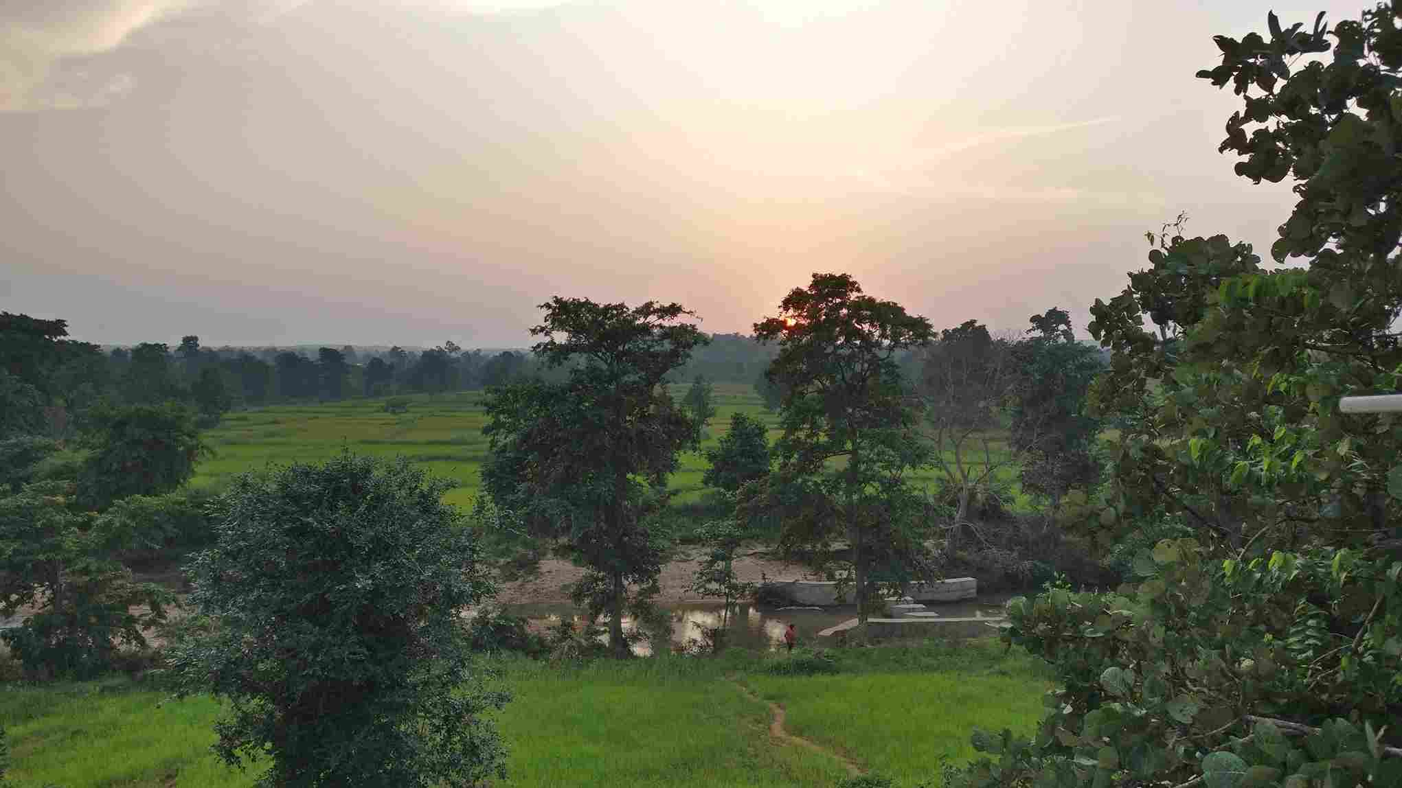 The forest reserve in Kanha National Park currently boasts 4000 trees.
